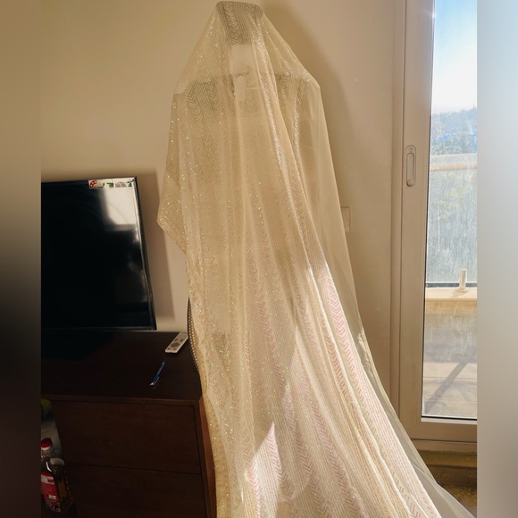 Designer sequin sari - Picture 14 of 14